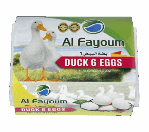 Al Fayoum Duck Eggs 6s
